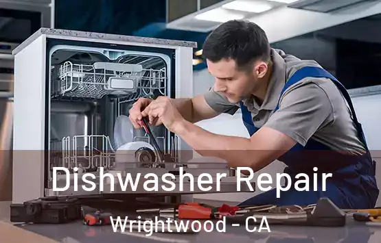  Dishwasher Repair Wrightwood - CA