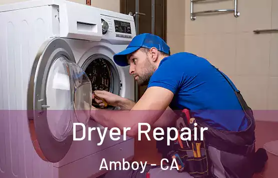  Dryer Repair Amboy - CA