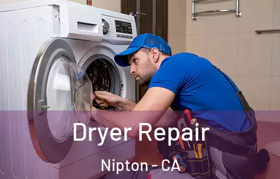  Dryer Repair Nipton - CA