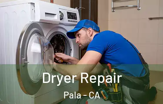  Dryer Repair Pala - CA