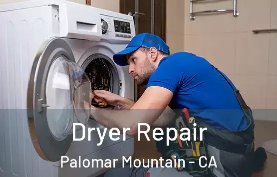  Dryer Repair Palomar Mountain - CA