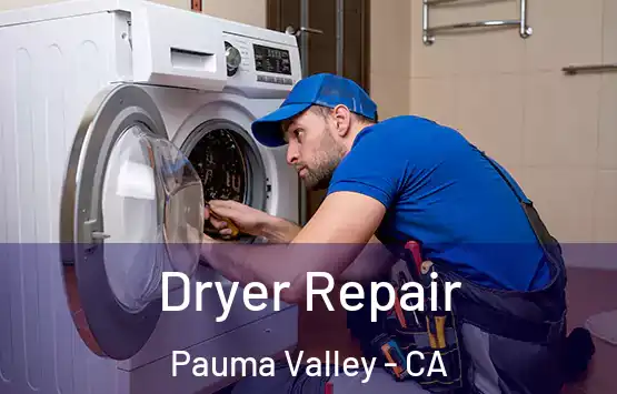  Dryer Repair Pauma Valley - CA