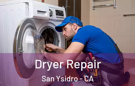  Dryer Repair San Ysidro - CA