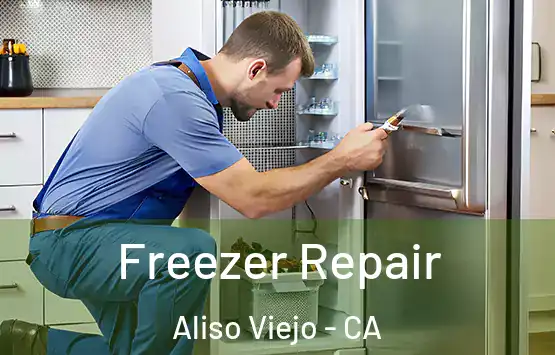  Freezer Repair Aliso Viejo - CA