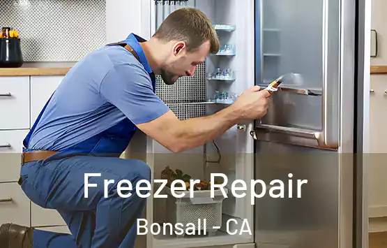  Freezer Repair Bonsall - CA