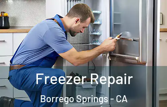  Freezer Repair Borrego Springs - CA