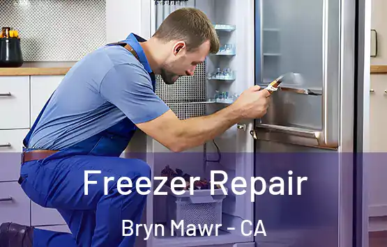  Freezer Repair Bryn Mawr - CA