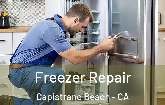 Freezer Repair Capistrano Beach - CA