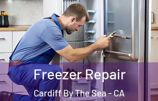  Freezer Repair Cardiff By The Sea - CA
