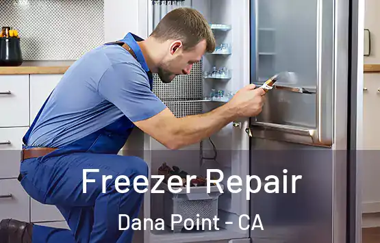  Freezer Repair Dana Point - CA