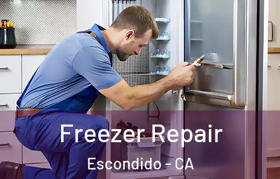  Freezer Repair Escondido - CA