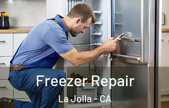  Freezer Repair La Jolla - CA