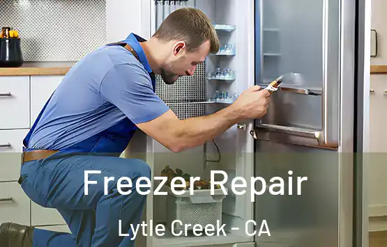  Freezer Repair Lytle Creek - CA