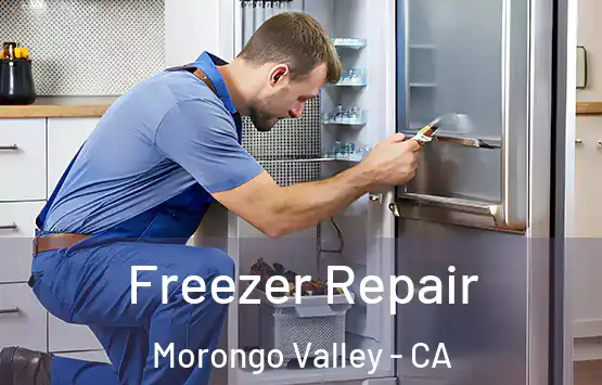  Freezer Repair Morongo Valley - CA