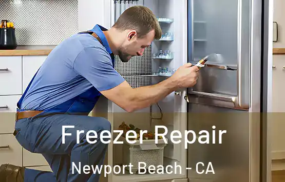  Freezer Repair Newport Beach - CA