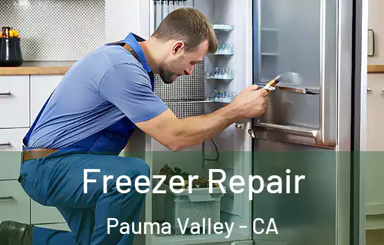  Freezer Repair Pauma Valley - CA