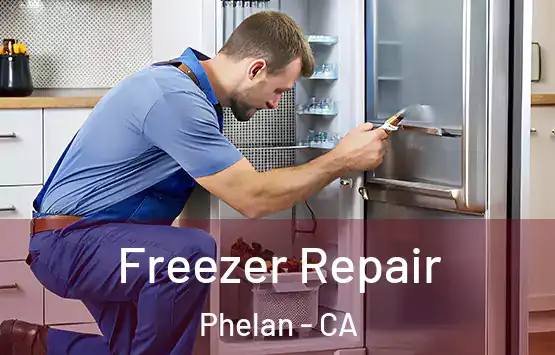  Freezer Repair Phelan - CA