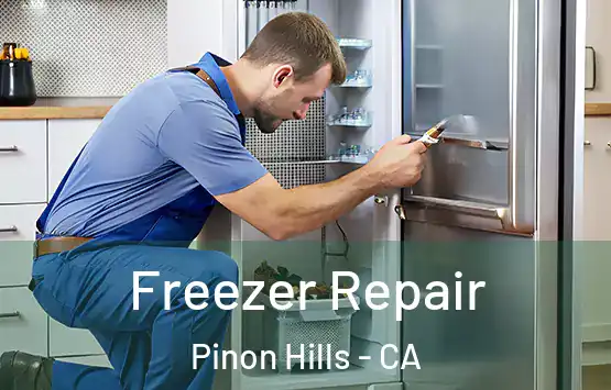  Freezer Repair Pinon Hills - CA
