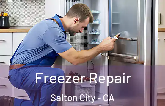  Freezer Repair Salton City - CA