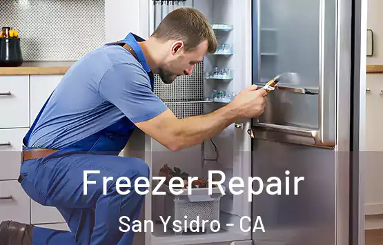  Freezer Repair San Ysidro - CA
