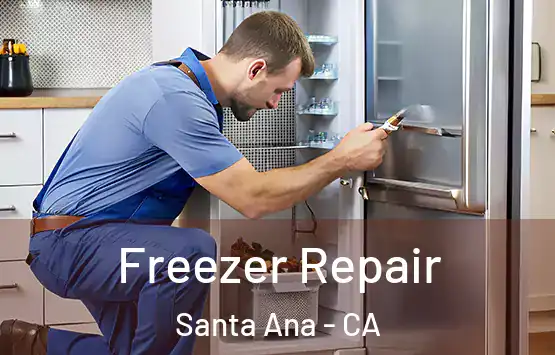  Freezer Repair Santa Ana - CA