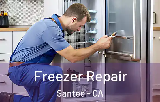  Freezer Repair Santee - CA
