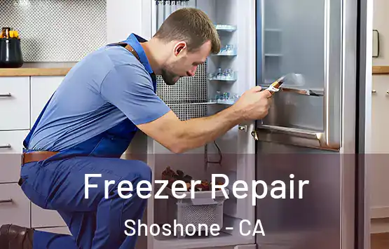  Freezer Repair Shoshone - CA