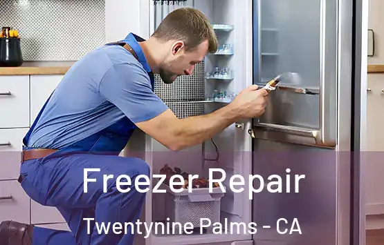  Freezer Repair Twentynine Palms - CA