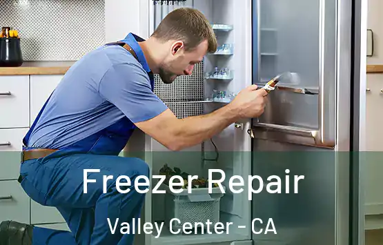  Freezer Repair Valley Center - CA