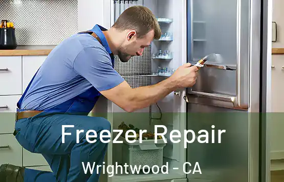  Freezer Repair Wrightwood - CA