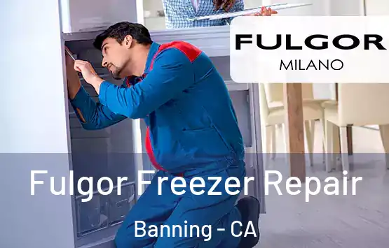  Fulgor Freezer Repair Banning - CA