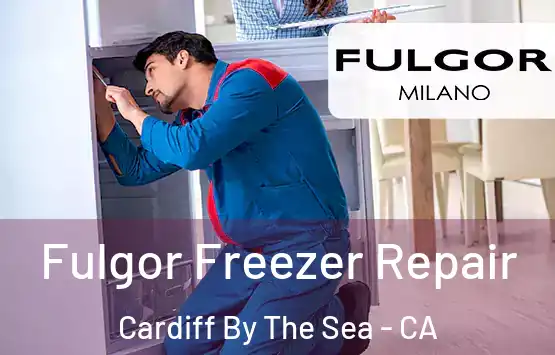  Fulgor Freezer Repair Cardiff By The Sea - CA