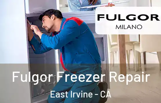  Fulgor Freezer Repair East Irvine - CA