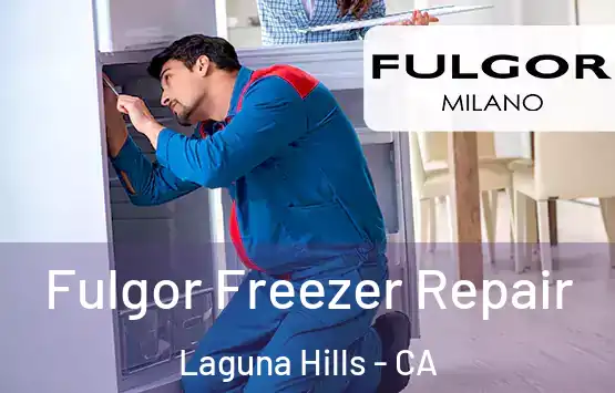  Fulgor Freezer Repair Laguna Hills - CA