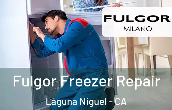  Fulgor Freezer Repair Laguna Niguel - CA