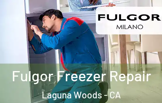  Fulgor Freezer Repair Laguna Woods - CA