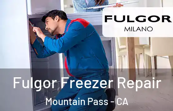  Fulgor Freezer Repair Mountain Pass - CA