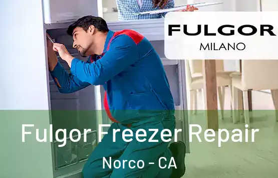  Fulgor Freezer Repair Norco - CA