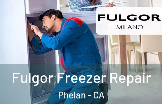  Fulgor Freezer Repair Phelan - CA