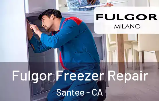  Fulgor Freezer Repair Santee - CA