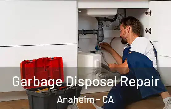 Garbage Disposal Repair Anaheim - CA