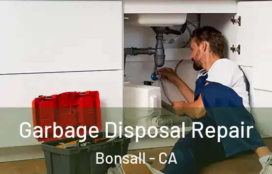  Garbage Disposal Repair Bonsall - CA