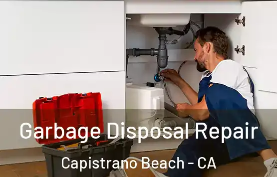 Garbage Disposal Repair Capistrano Beach - CA