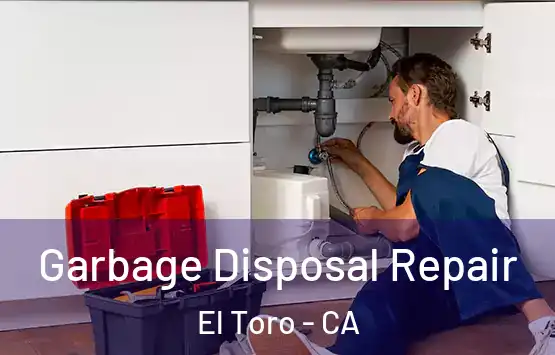  Garbage Disposal Repair El Toro - CA