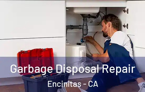 Garbage Disposal Repair Encinitas - CA