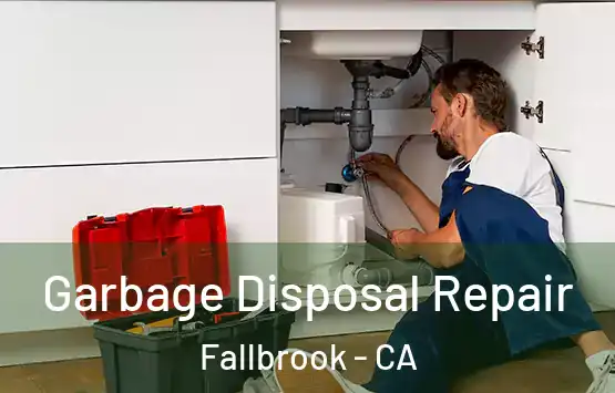  Garbage Disposal Repair Fallbrook - CA