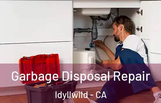  Garbage Disposal Repair Idyllwild - CA
