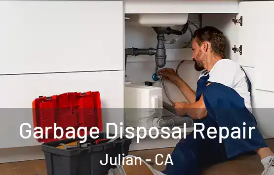  Garbage Disposal Repair Julian - CA