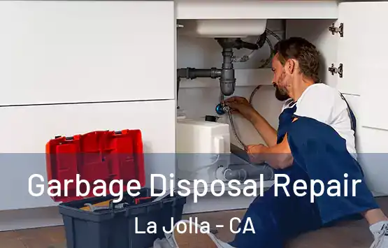  Garbage Disposal Repair La Jolla - CA