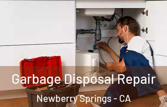  Garbage Disposal Repair Newberry Springs - CA